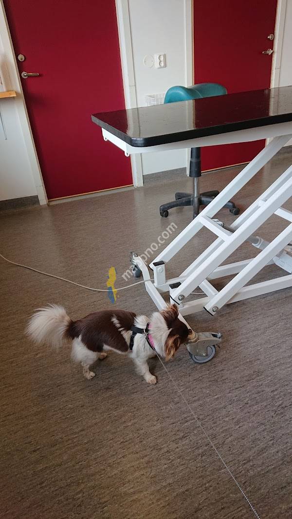 Veterinärkliniken i Rättvik AB