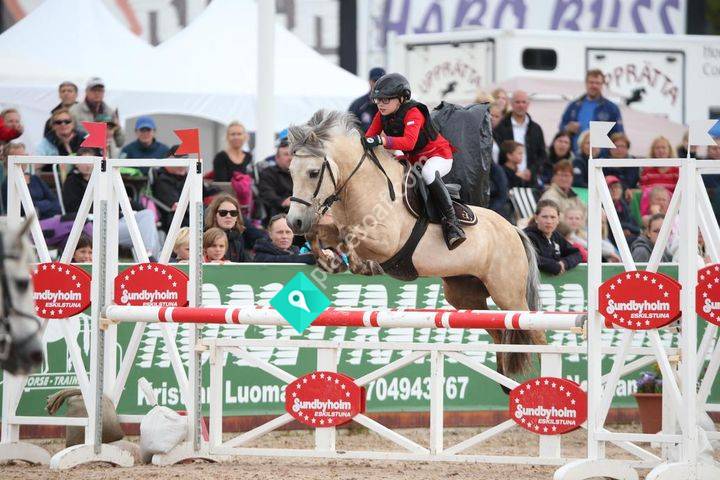 Wikströms Hästsport