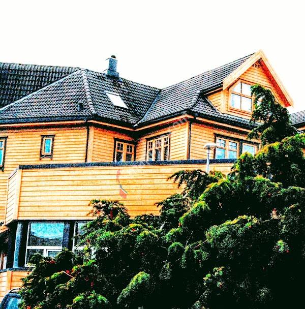 Yoga i dagliglivet / Yoga in daily life