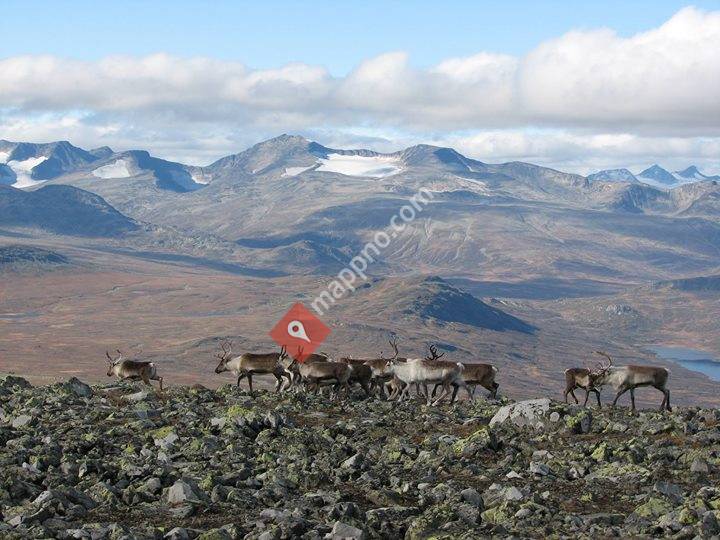 Øystre Slidre fjellstyre